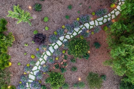 Yearly Landscape Maintenance in SLO County: Season by Season Thumbnail