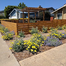 Front Yard Delight 4