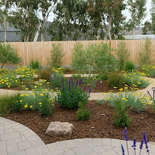 Landscape Design & Outdoor Living Installation San Luis Obispo, CA 4