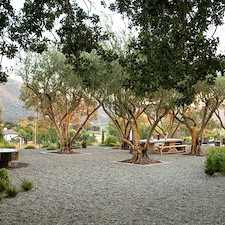 Where History Takes Root in Arroyo Grande, CA 5